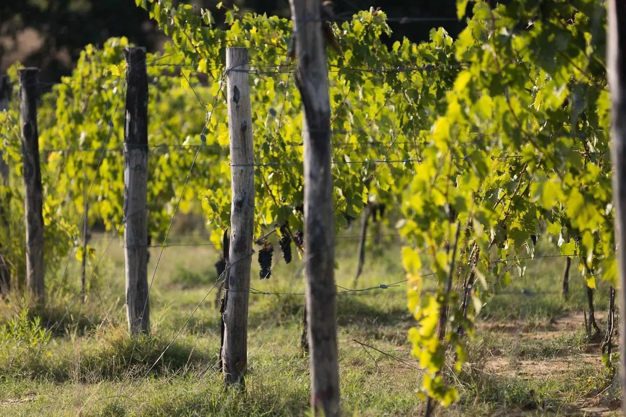 Alojamento de Turismo Rural Agriturismo Le Baccane Vinci Itália