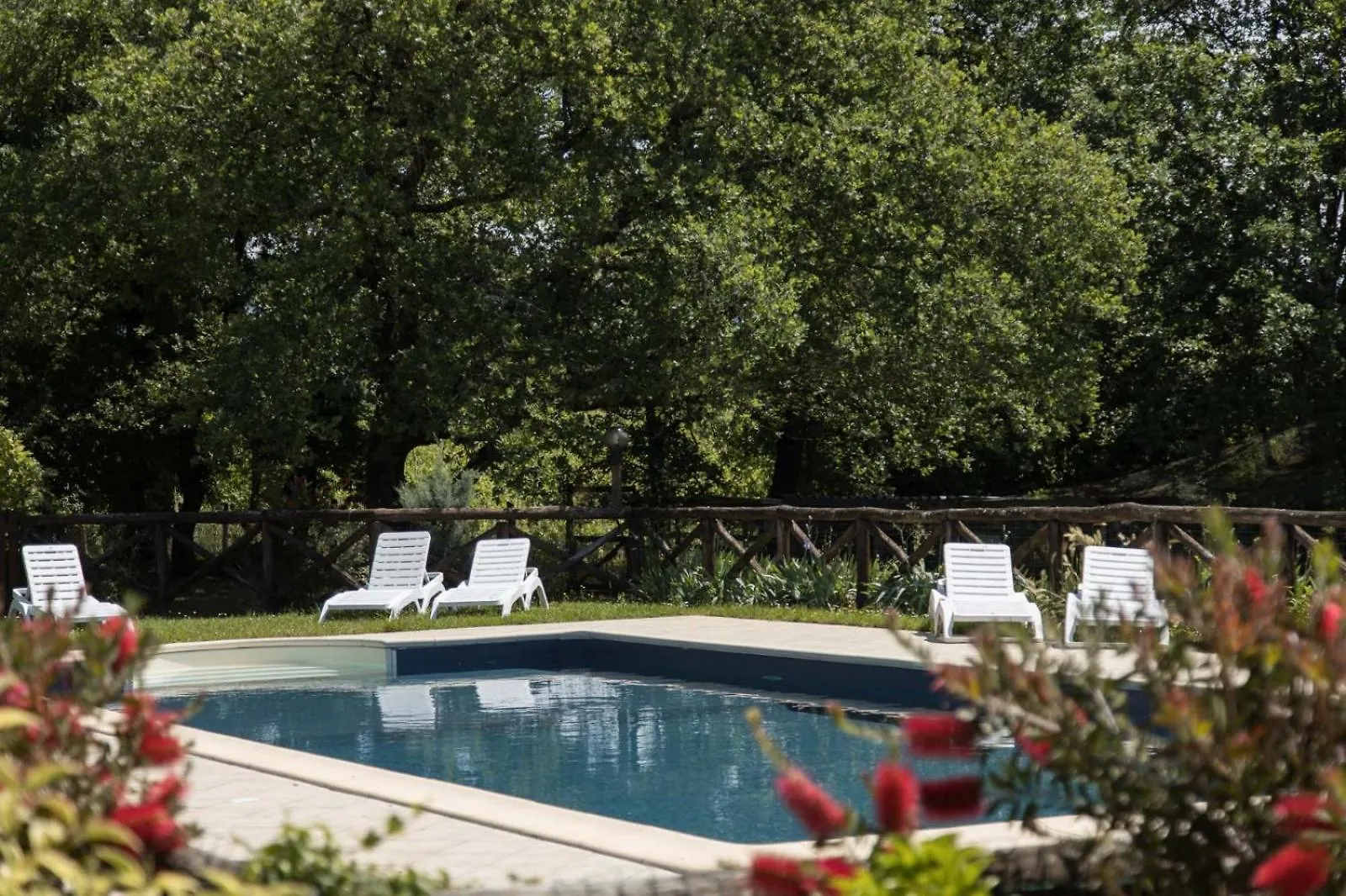 Agriturismo Le Baccane Vinci
