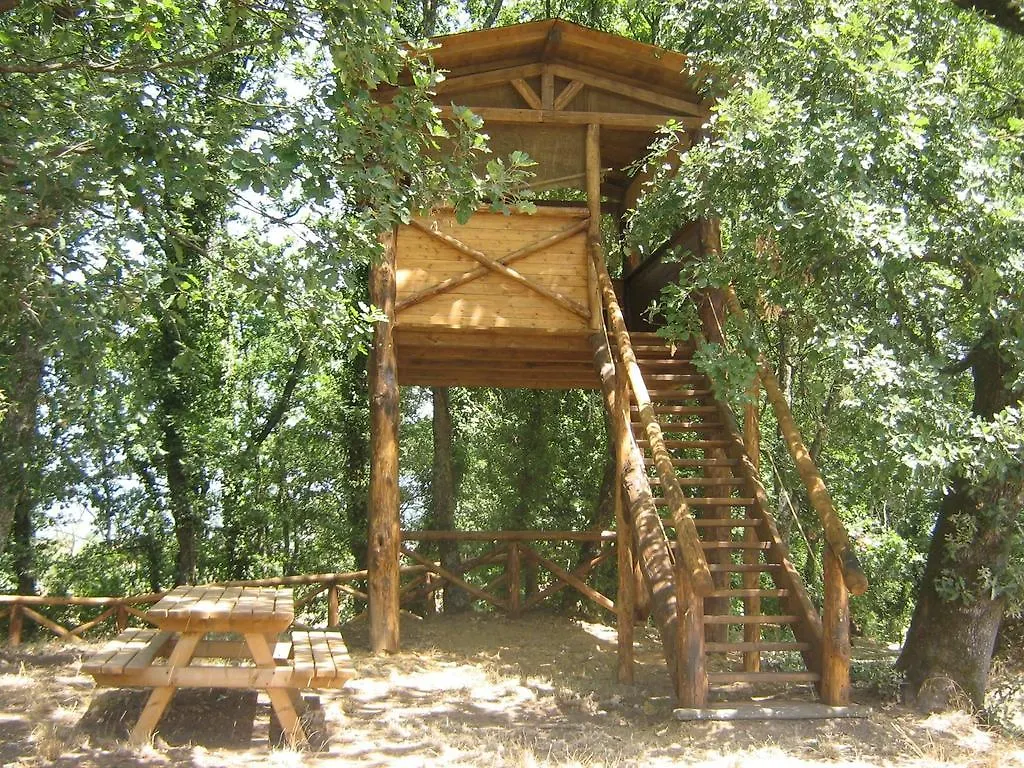 Agriturismo Le Baccane Vinci
