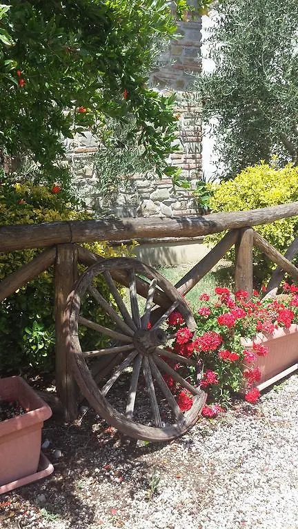 Agriturismo Le Baccane Vinci 0*,  Itália