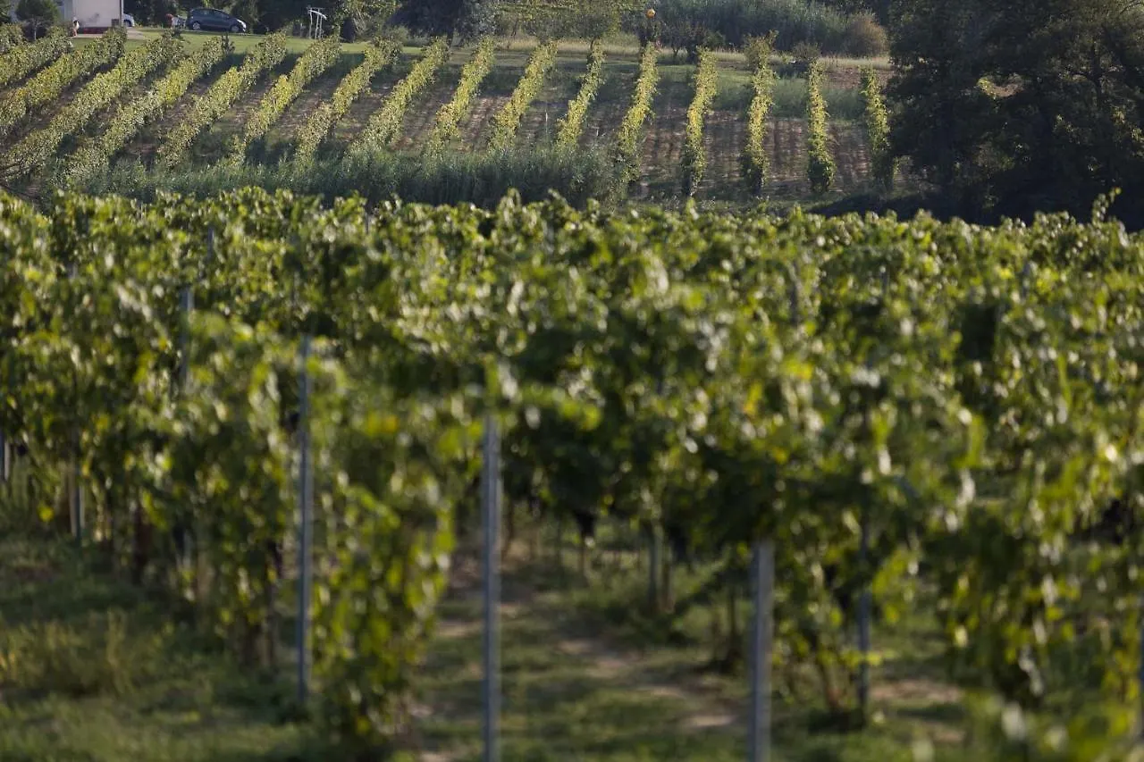 Agriturismo Le Baccane Vinci